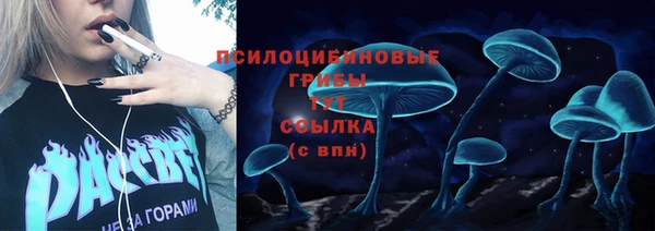 гидра Абинск