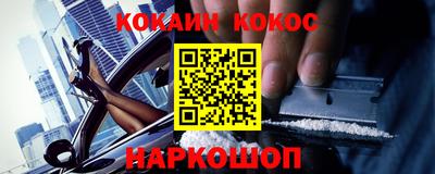 гашик Боровичи