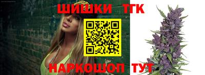 гашик Боровичи