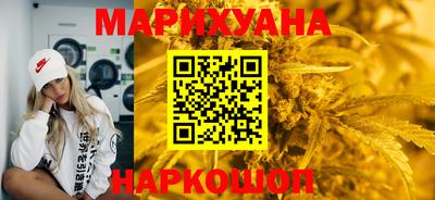гашик Боровичи