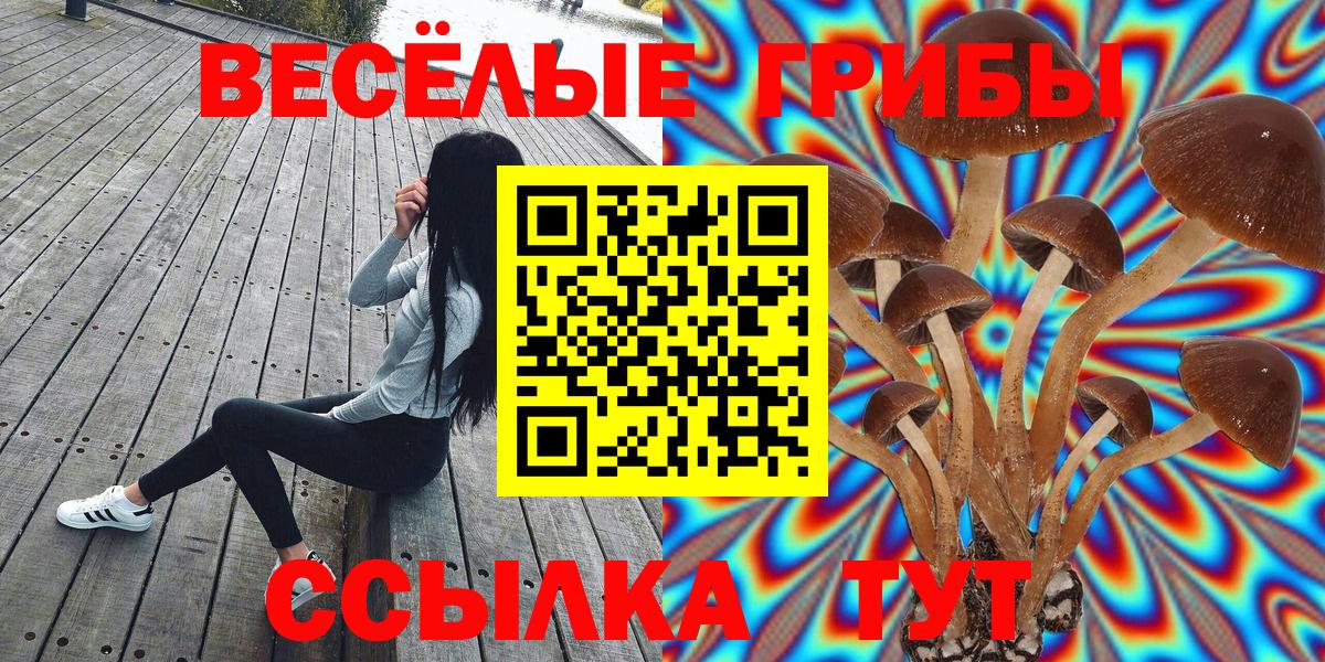 Псилоцибиновые грибы ЛСД  Вход с VPN  Галлюциногенные грибы мицелий  Киржач 